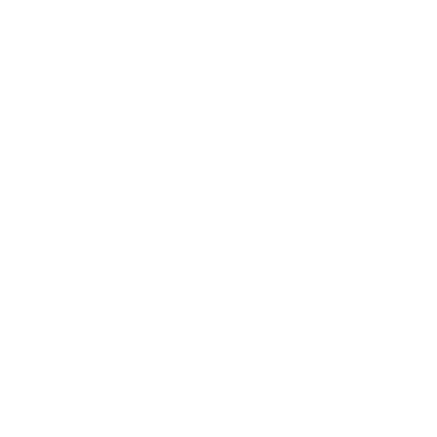 hawk-Logo